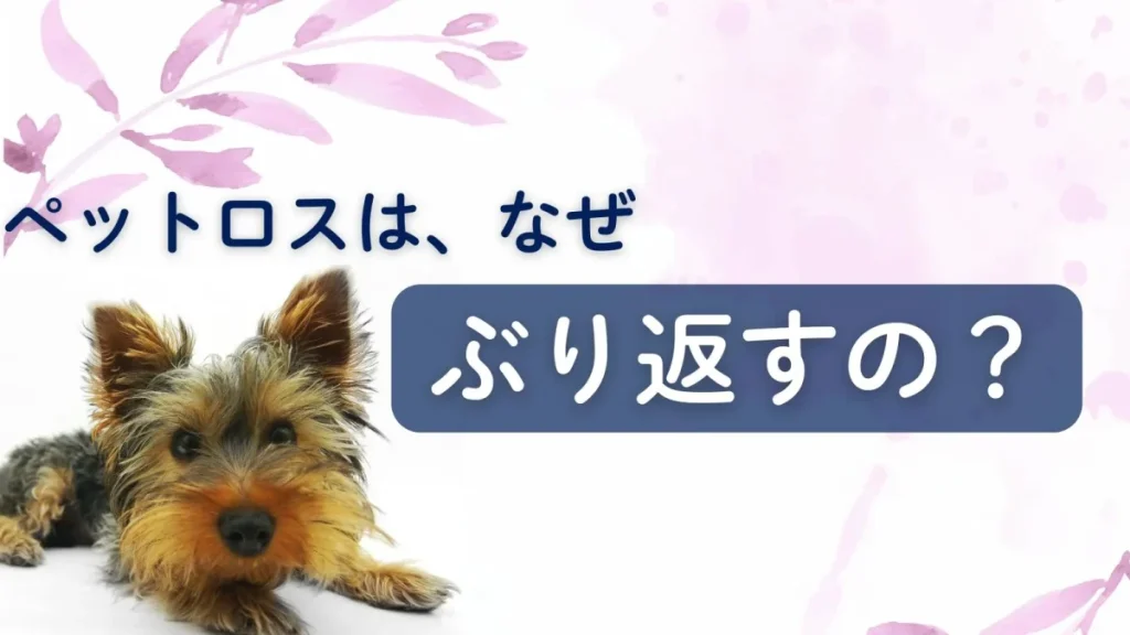 ペットロスがぶり返すのはなぜ？後から時間差でくる原因と対処法