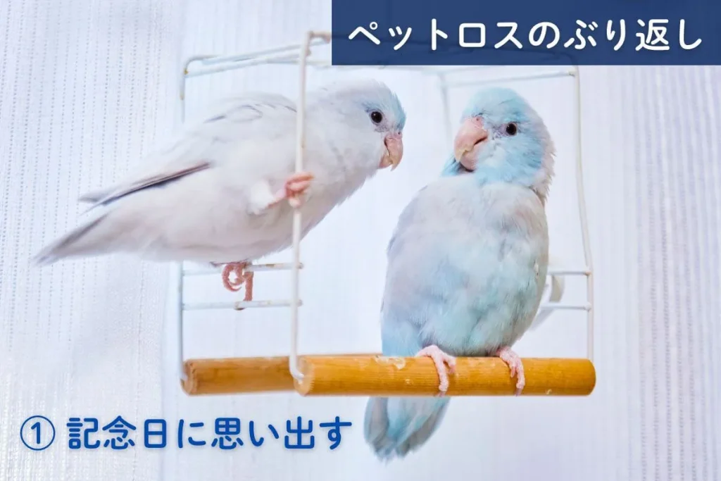 ペットロスのぶり返し①命日や誕生日など記念日に思い出す