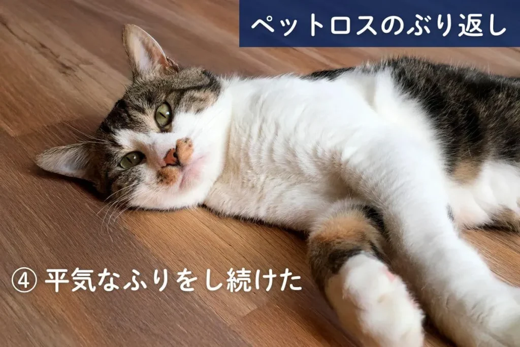 ペットロスのぶり返し④平気な振りをし続けた